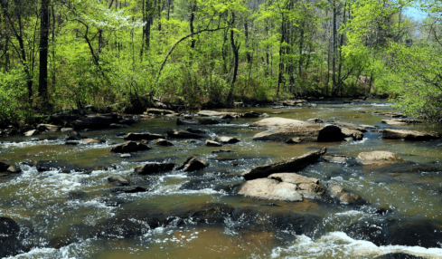 Discover Peachtree City, Georgia